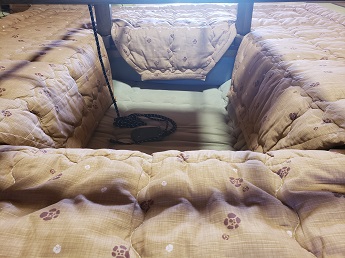 ���l�����x