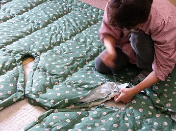 �����l�����D���R